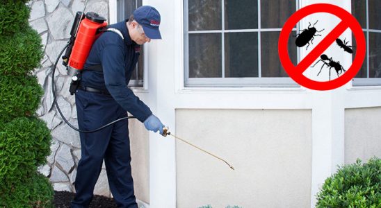 Özkanlar Böcek İlaçlama böcek ilaçlama ve haşere kontrolü — ilaclama-tr.com